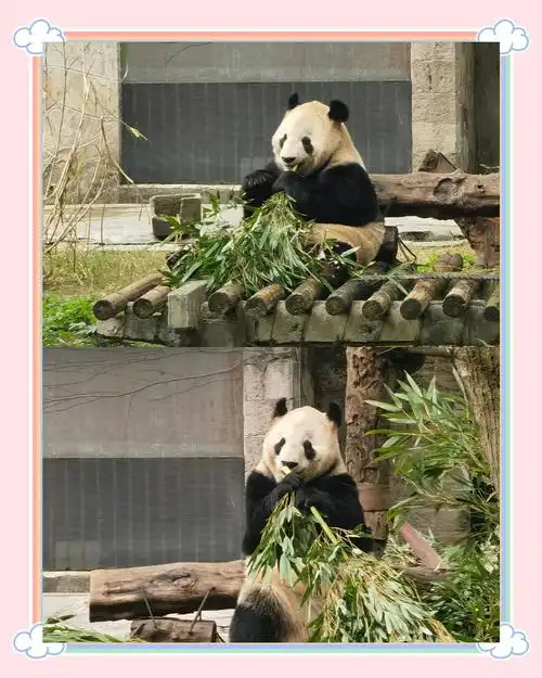重庆动物园